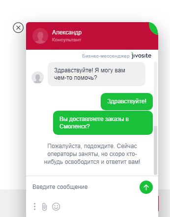 Онлайн Консультант Интернет Магазине Дому Онлайн Консультант Интернет Магазине Дому