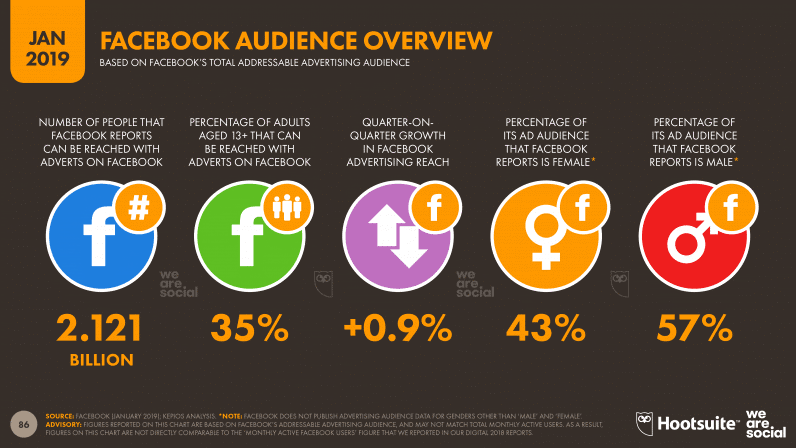 Facebook Audience Overview