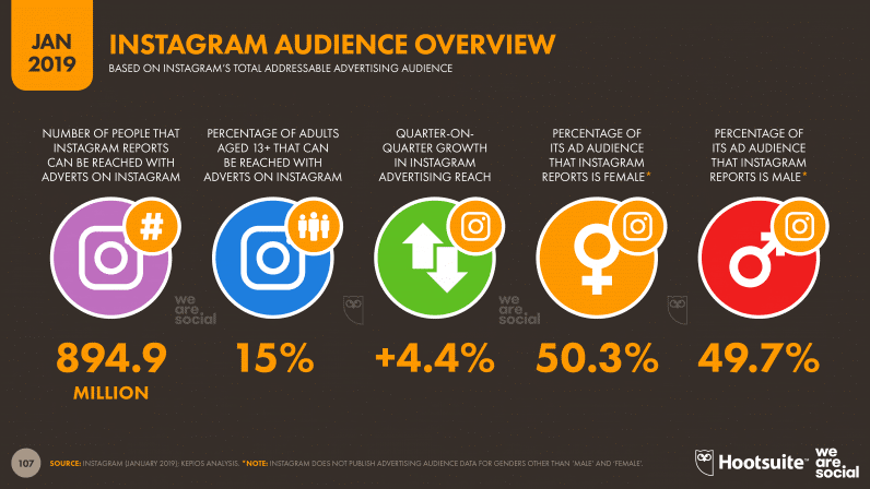 Instagram Audience Overview