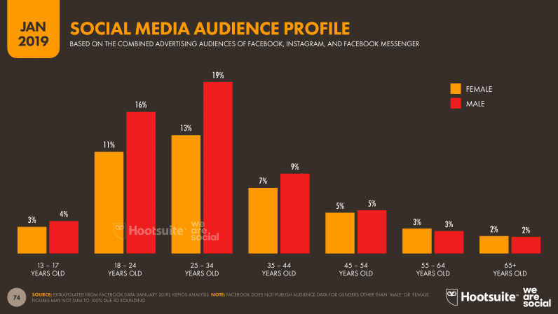 Social Media Audience Profile