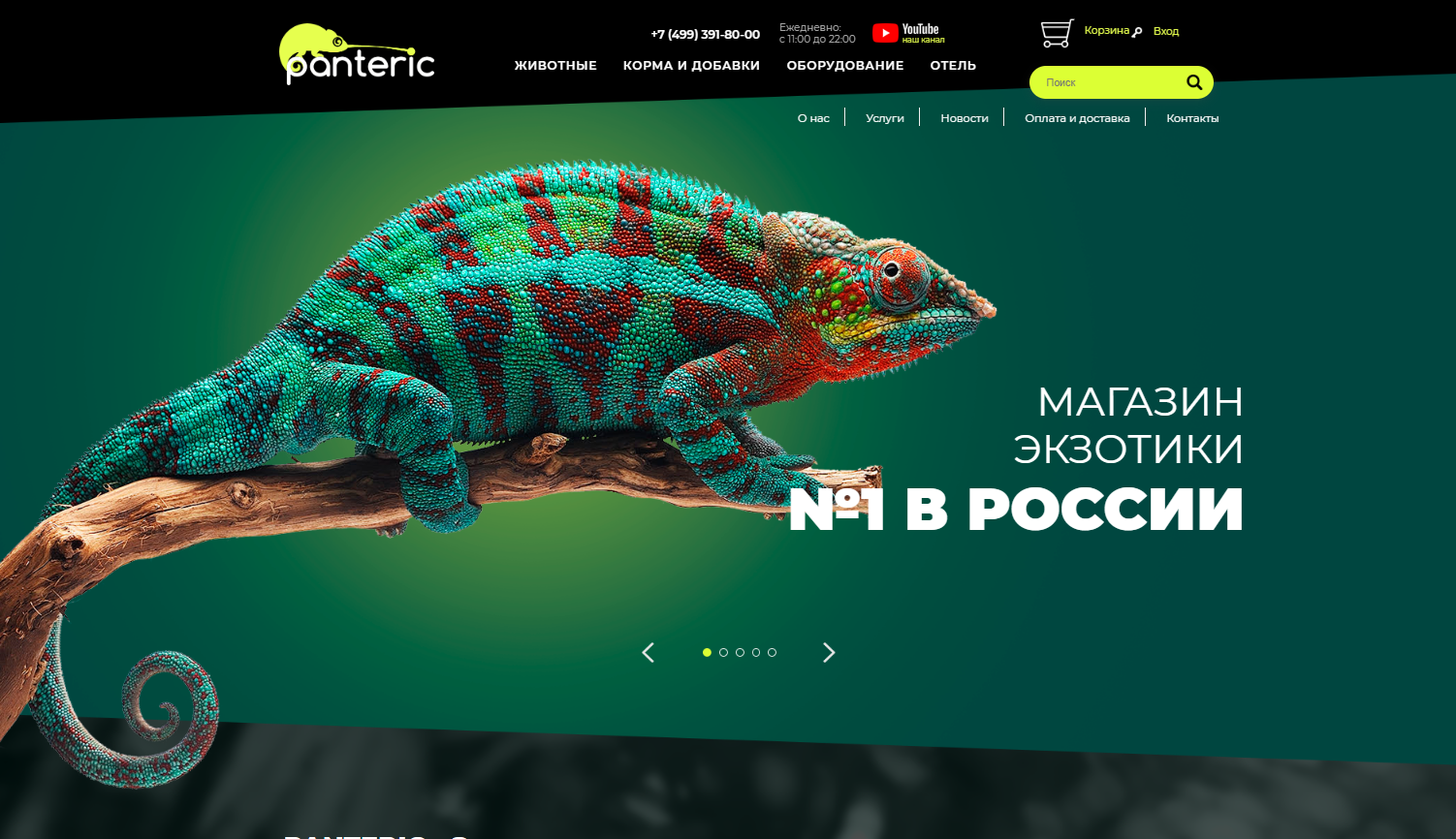 Сайт для интернет-магазина экзотических товаров (panteric.ru), 2018 год